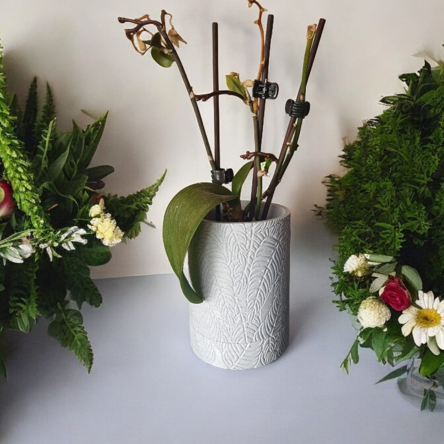 Palm Planter with Hidden Drip Tray